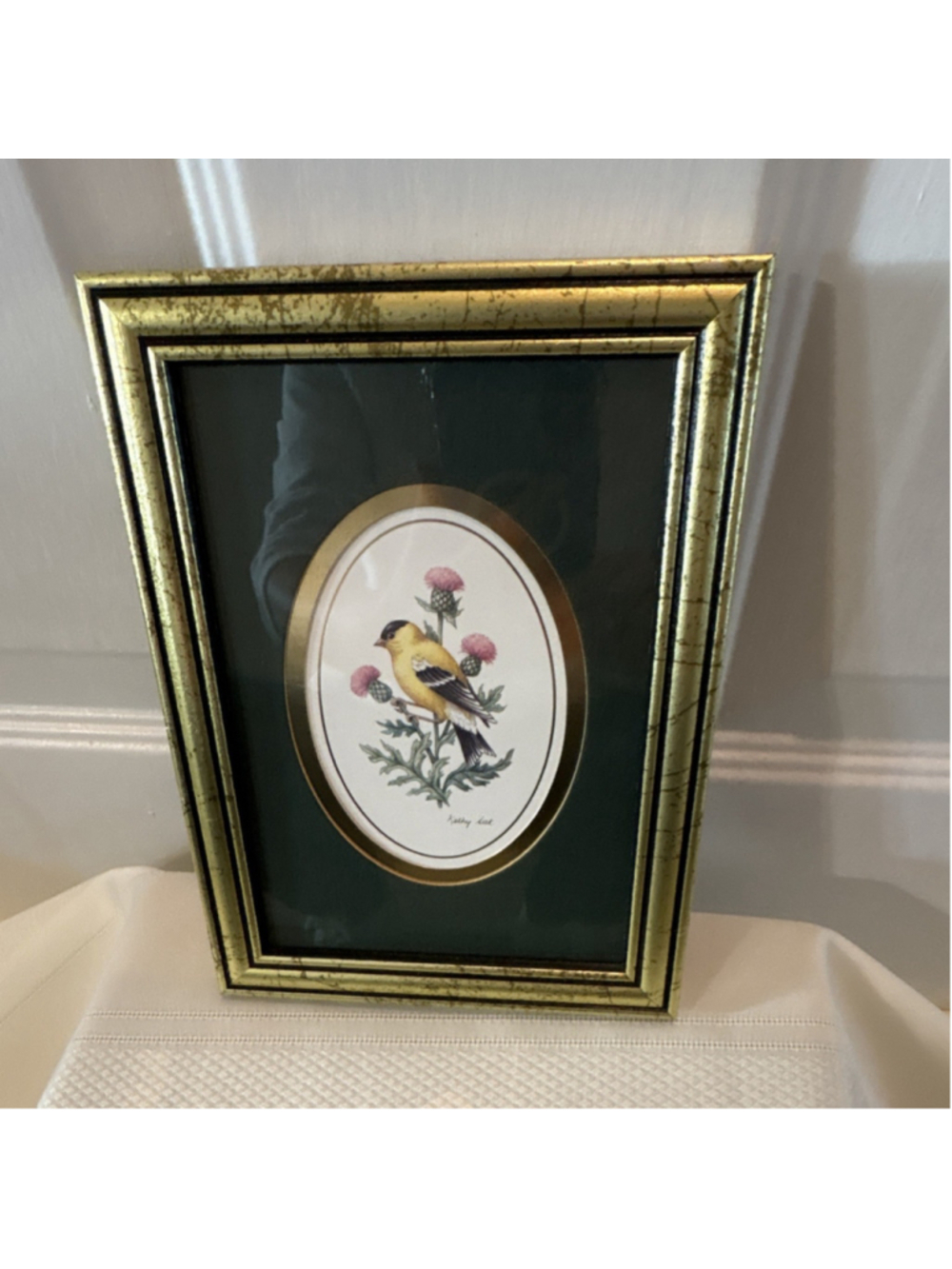 Goldfinch Botanical Bird Framed Print by Kathy Seek Nature Illustration Art
